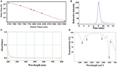 Metabolism and Biodegradation of β-Glucan in vivo